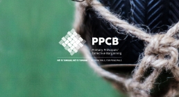 web-design-PPCB-