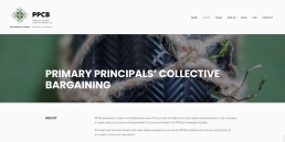 web-design-portfolio-PPCB1-