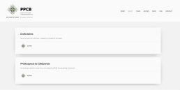 web-design-portfolio-PPCB2-