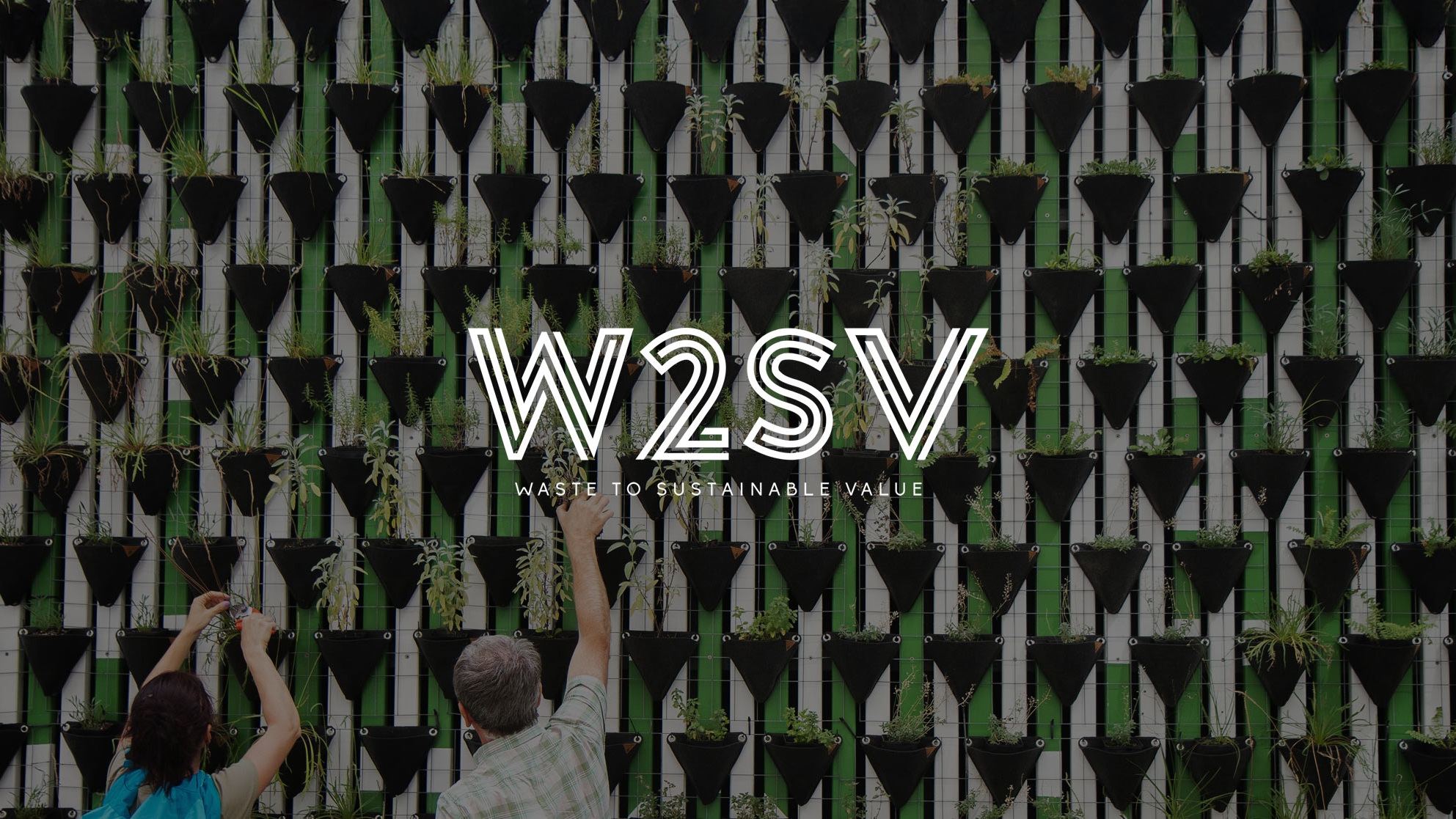 Website development for W2SV