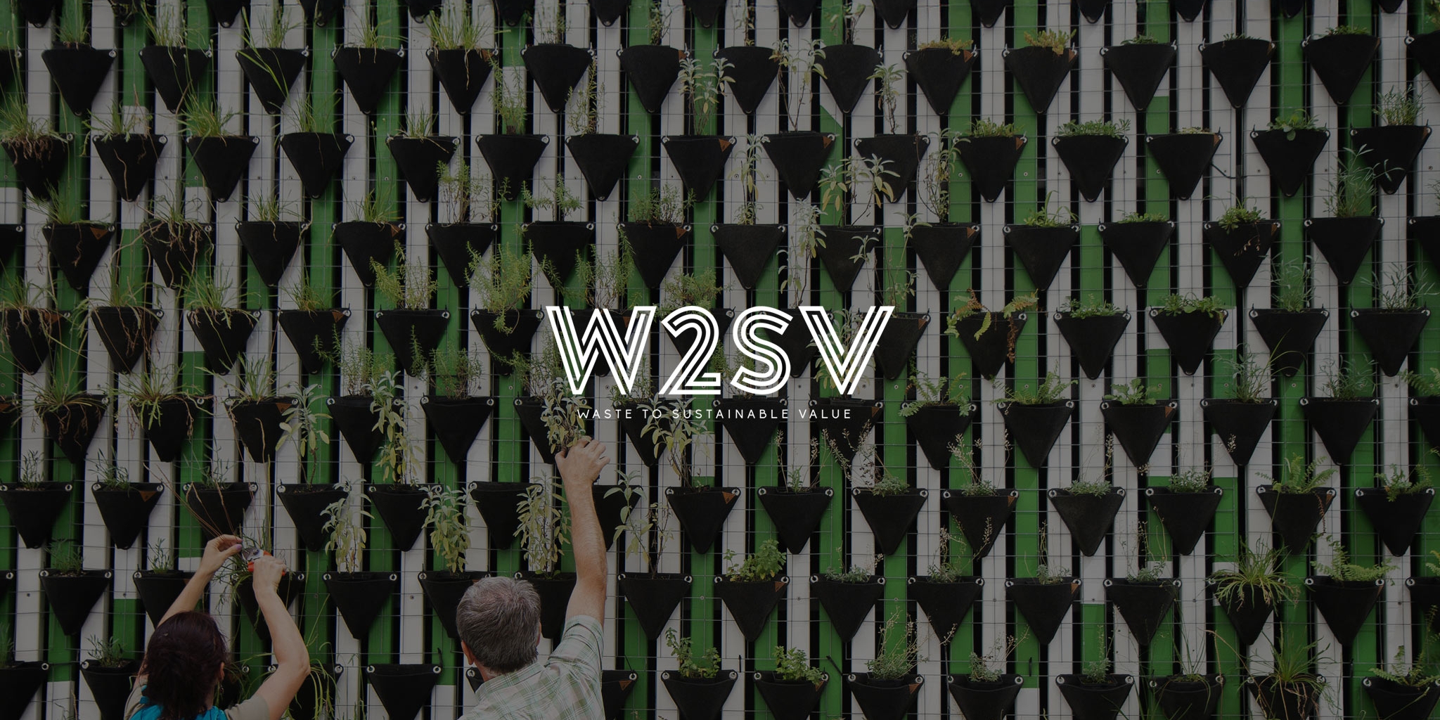 W2SV