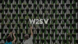 W2SV - website development, content creation, SEO