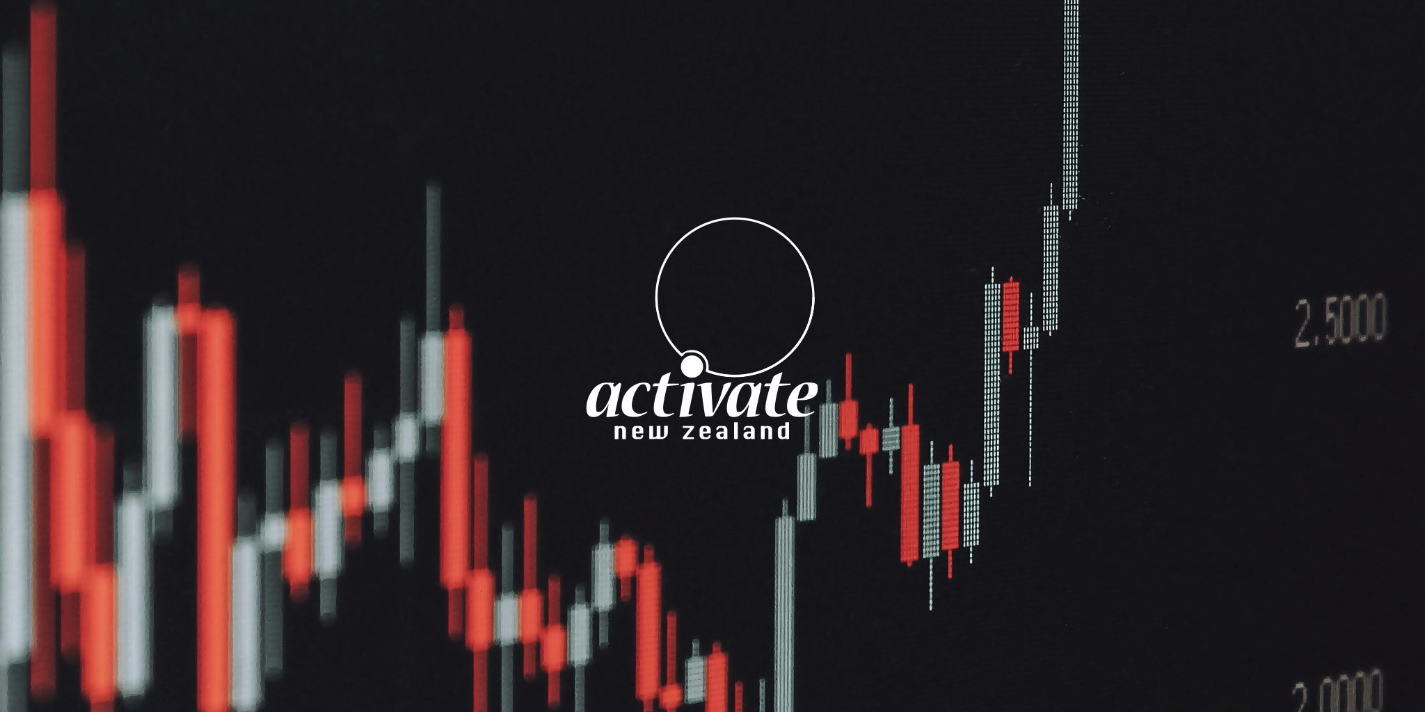Activate New Zealand Web design for Activate NZ
