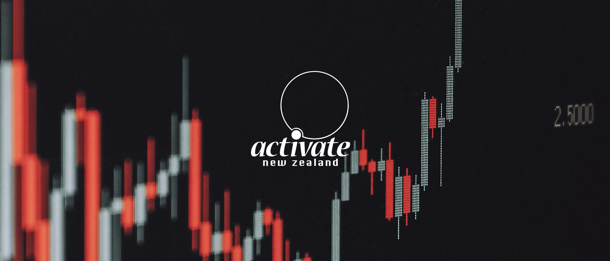 Web design for Activate NZ